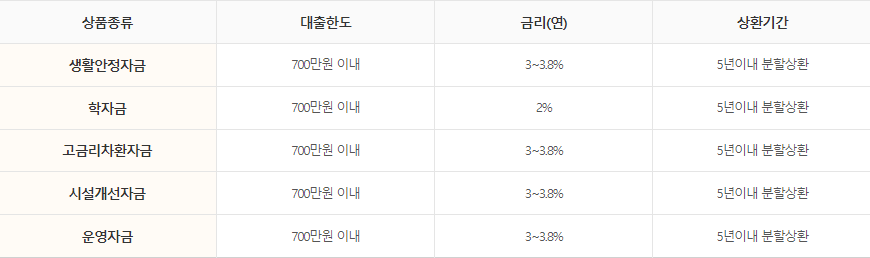 개인회생 성실상환자 대출한도 및 조건 개인회생 성실상환자 대출한도 및 조건